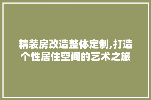 精装房改造整体定制,打造个性居住空间的艺术之旅