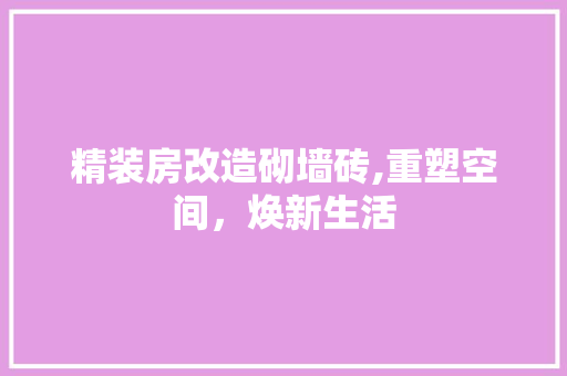 精装房改造砌墙砖,重塑空间，焕新生活