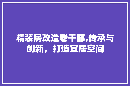 精装房改造老干部,传承与创新，打造宜居空间