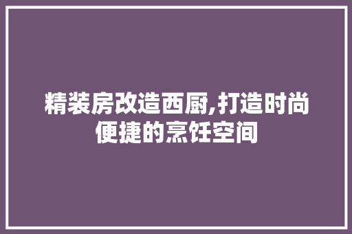 精装房改造西厨,打造时尚便捷的烹饪空间