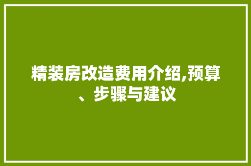 精装房改造费用介绍,预算、步骤与建议