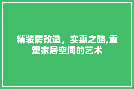 精装房改造，实惠之路,重塑家居空间的艺术