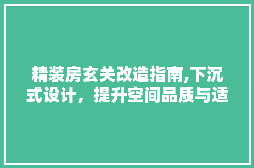 精装房玄关改造指南,下沉式设计，提升空间品质与适用性