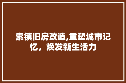 索镇旧房改造,重塑城市记忆，焕发新生活力