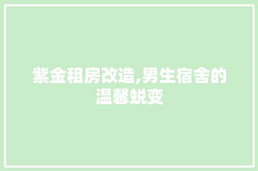 紫金租房改造,男生宿舍的温馨蜕变
