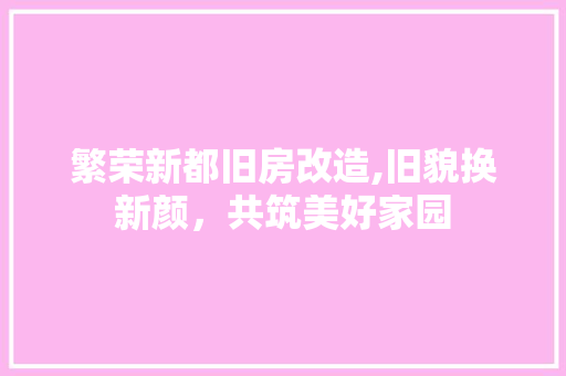 繁荣新都旧房改造,旧貌换新颜，共筑美好家园