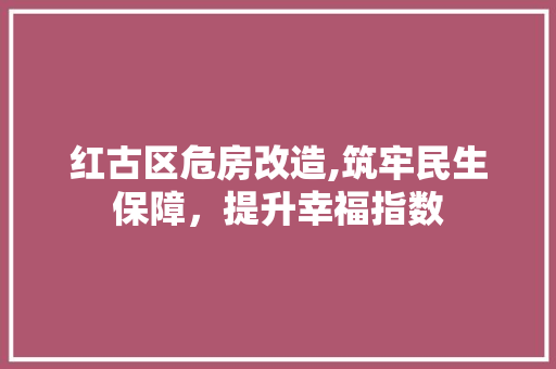 红古区危房改造,筑牢民生保障，提升幸福指数 厨房维修