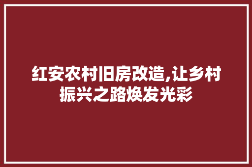 红安农村旧房改造,让乡村振兴之路焕发光彩