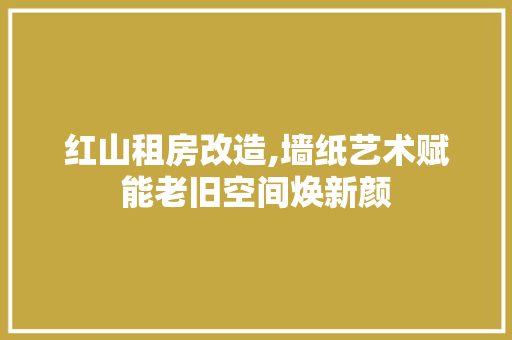 红山租房改造,墙纸艺术赋能老旧空间焕新颜