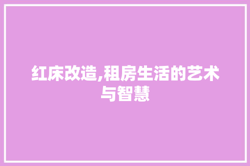 红床改造,租房生活的艺术与智慧