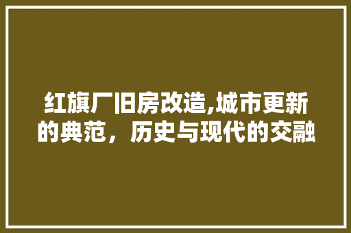 红旗厂旧房改造,城市更新的典范，历史与现代的交融