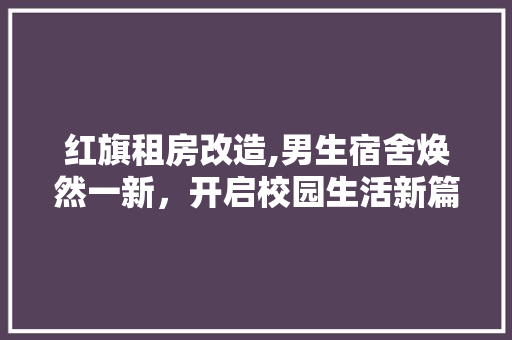 红旗租房改造,男生宿舍焕然一新，开启校园生活新篇章