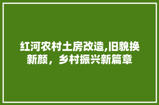 红河农村土房改造,旧貌换新颜，乡村振兴新篇章