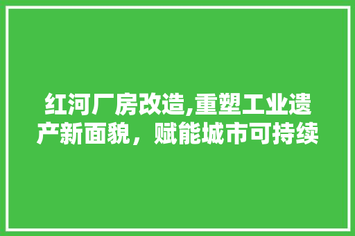 红河厂房改造,重塑工业遗产新面貌，赋能城市可持续发展