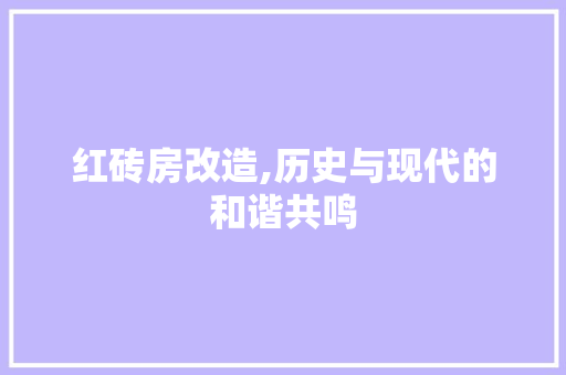 红砖房改造,历史与现代的和谐共鸣