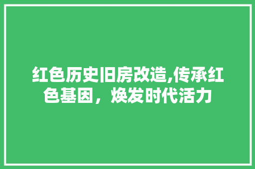 红色历史旧房改造,传承红色基因，焕发时代活力