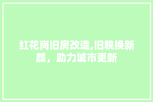 红花岗旧房改造,旧貌换新颜，助力城市更新
