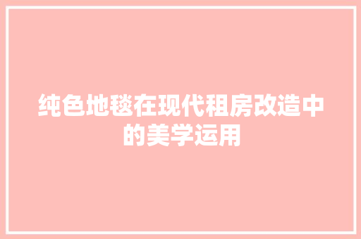 纯色地毯在现代租房改造中的美学运用