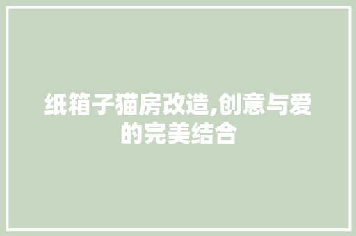 纸箱子猫房改造,创意与爱的完美结合