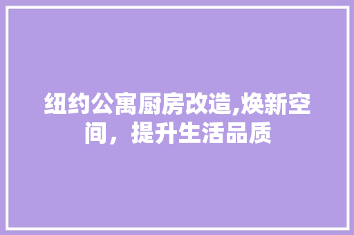 纽约公寓厨房改造,焕新空间，提升生活品质