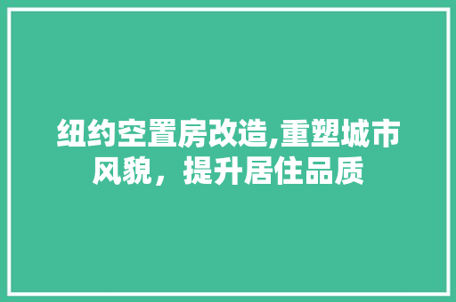 纽约空置房改造,重塑城市风貌，提升居住品质