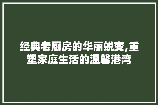经典老厨房的华丽蜕变,重塑家庭生活的温馨港湾