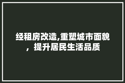 经租房改造,重塑城市面貌，提升居民生活品质