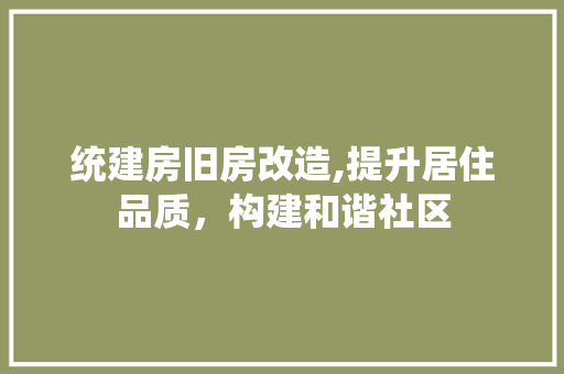 统建房旧房改造,提升居住品质，构建和谐社区