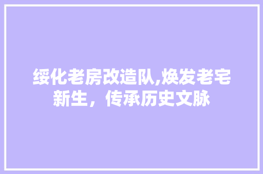 绥化老房改造队,焕发老宅新生，传承历史文脉