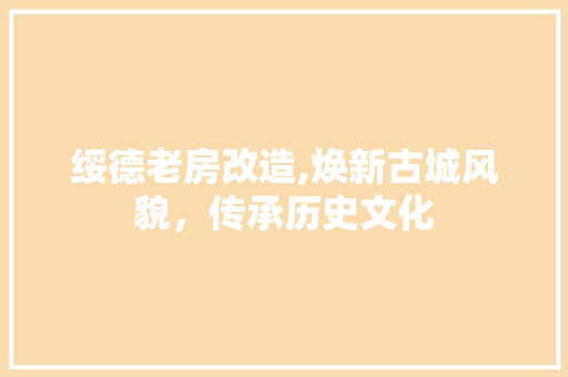 绥德老房改造,焕新古城风貌，传承历史文化