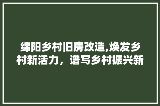 绵阳乡村旧房改造,焕发乡村新活力，谱写乡村振兴新篇章