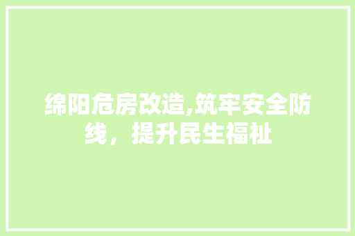 绵阳危房改造,筑牢安全防线，提升民生福祉