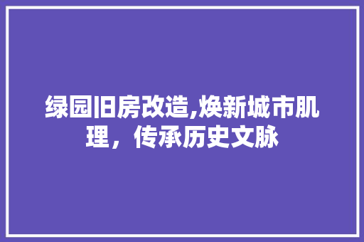 绿园旧房改造,焕新城市肌理，传承历史文脉