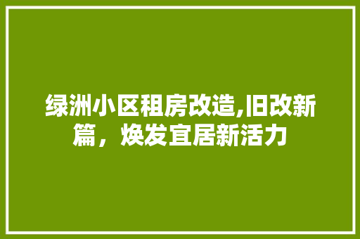 绿洲小区租房改造,旧改新篇，焕发宜居新活力