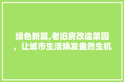 绿色新篇,老旧房改造菜园，让城市生活焕发盎然生机