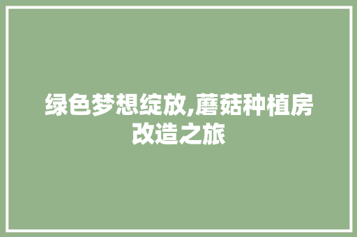 绿色梦想绽放,蘑菇种植房改造之旅