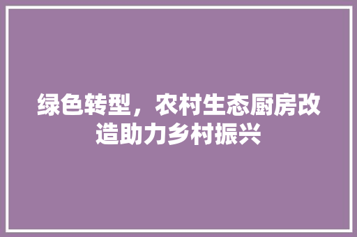 绿色转型，农村生态厨房改造助力乡村振兴