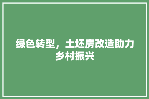 绿色转型，土坯房改造助力乡村振兴