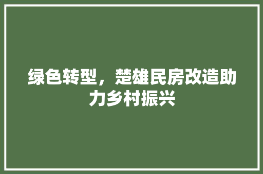 绿色转型，楚雄民房改造助力乡村振兴