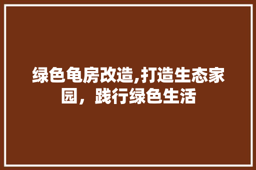 绿色龟房改造,打造生态家园，践行绿色生活 厨房维修