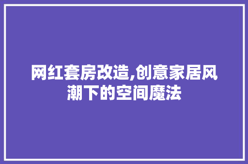 网红套房改造,创意家居风潮下的空间魔法