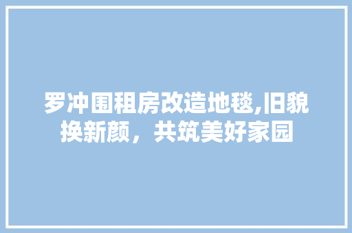 罗冲围租房改造地毯,旧貌换新颜，共筑美好家园