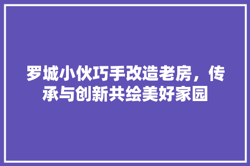 罗城小伙巧手改造老房，传承与创新共绘美好家园