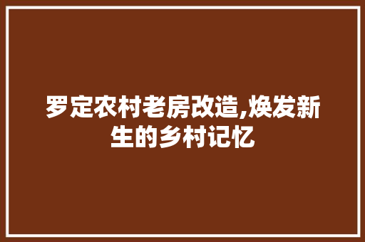 罗定农村老房改造,焕发新生的乡村记忆