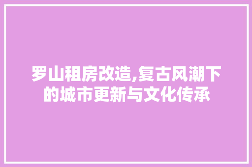 罗山租房改造,复古风潮下的城市更新与文化传承