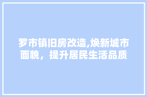 罗市镇旧房改造,焕新城市面貌，提升居民生活品质