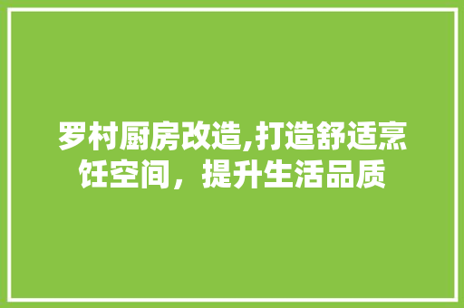 罗村厨房改造,打造舒适烹饪空间，提升生活品质