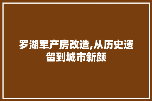 罗湖军产房改造,从历史遗留到城市新颜