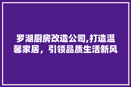 罗湖厨房改造公司,打造温馨家居，引领品质生活新风尚