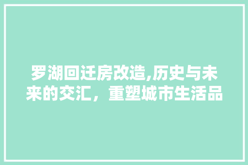 罗湖回迁房改造,历史与未来的交汇，重塑城市生活品质